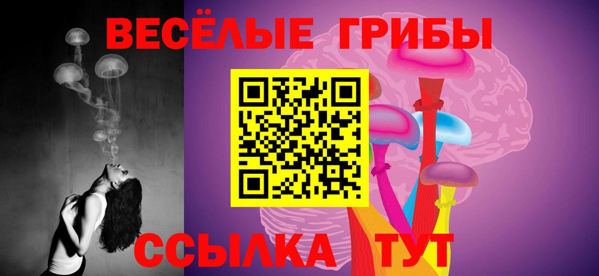 Нижний Тагил  Псилоцибиновые грибы ЛСД  Вход с VPN 